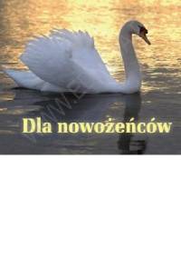 Dla nowożeńców. Perełka 198 - praca zbiorowa