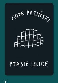 Ptasie ulice - Piotr Paziński