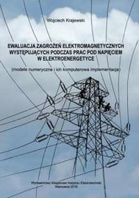 Ewaluacja zagrożeń elektromagnetycznych występujących podczas prac pod napięciem w elektroenergetyce - Wojciech Krajewski