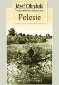 Polesie. Studia etnosocjologiczne - Józef Obrębski