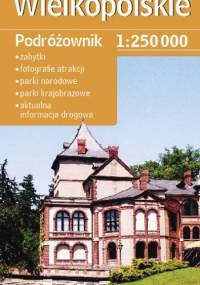 Wielkopolskie. Podróżownik. Mapa samochodowa. 1: 250 000. Demart - praca zbiorowa