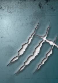 wilkOŁASCE cz.1. zaNim zaczniesz żyć pasją - Witek Wilk