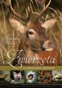 Zwierzęta w obiektywie leśników - praca zbiorowa