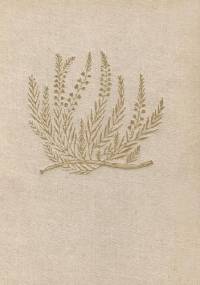 Poetical Works of John Keats - John Keats