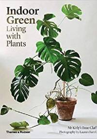 Indoor Green. Living with Plants - Bree Claffey