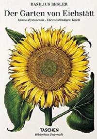 Der Garten von Eichstätt. Hortus Eystettensis. - Basilius Besier