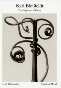 Karl Blobfeldt The Alphabet Of Plants - Karl Blobfeldt