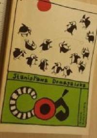 Coś - Stanisława Domagalska