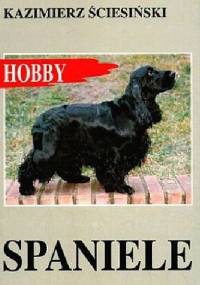 Spaniele - Kazimierz Ściesiński