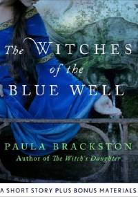 The Witches of the Blue Well - Paula Brackston