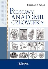 Podstawy anatomii człowieka. Wydanie 2 - Bogusław K. Gołąb