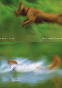 Beautiful Evidence - Edward Tufte