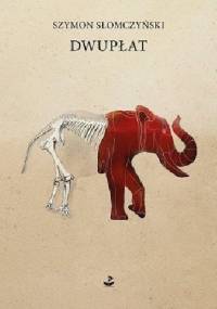 Dwupłat - Szymon Słomczyński