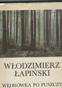Wędrówka po puszczy - Włodzimierz Łapiński