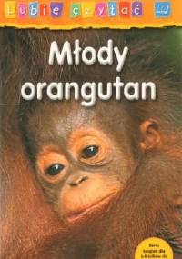 Młody orangutan - Monika Hughes
