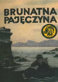 Brunatna pajęczyna - Sławomir Klimkiewicz