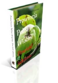 Prowincja Pełna Wiochy. Powieść jebitna - Marcin Łupkowski