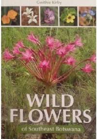 Wild Flowers of Southeast Botswana - Gwithie Kirby