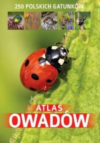 Atlas owadów. 250 polskich gatunków - Jacek Twardowski, Kamila Twardowska