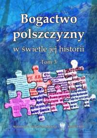 Bogactwo polszczyzny w świetle jej historii. Tom 3 - Artur Rejter