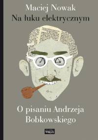 Na łuku elektrycznym. O pisaniu Andrzeja Bobkowskiego - Maciej Nowak