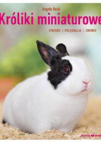Króliki miniaturowe - Angela Beck