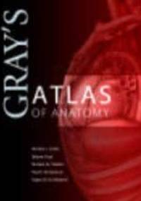 Gray's Atlas of Anatomy - R. Drake