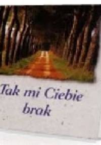 Tak mi Ciebie brak - Paul Stroemer