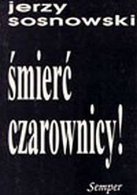 Śmierć czarownicy! Szkice o literaturze i wątpieniu - Jerzy Sosnowski