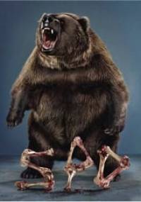 Spd - praca zbiorowa