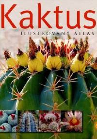 Kaktusy - ilustrovaný atlas