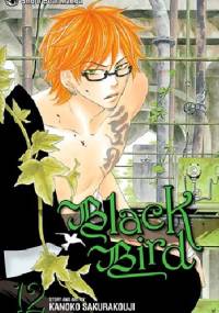 Black Bird, vol. 12 - Kanoko Sakurakouji