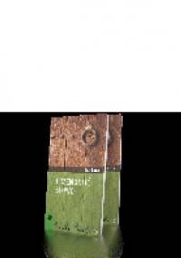 Przemodlić słowo - Enzo Bianchi