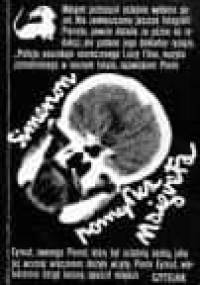 Pomyłka Maigreta - Georges Simenon