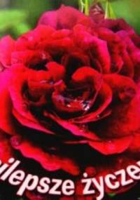 Najlepsze życzenia - praca zbiorowa