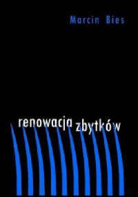 Renowacja zabytków - Marcin Bies