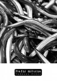 Pieśni miłosne - Tadeusz Pióro