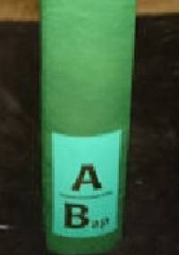 Popularna encyklopedia powszechna T.1. A/ Bap - praca zbiorowa