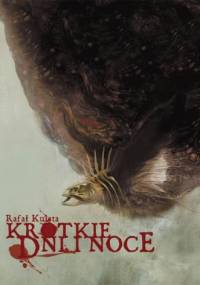 Krótkie dni i noce - Rafał Kuleta