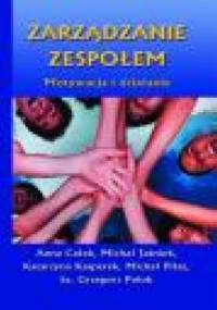 Zarządzanie zespołem. Motywacja i działanie - praca zbiorowa, Anna Całek