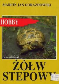 Żółw stepowy - Marcin Jan Gorazdowski