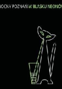 Nocny Poznań w blasku neonów - Magdalena Mrugalska-Banaszak