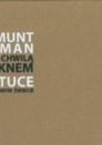 Między chwilą a pięknem. O sztuce w rozpędzonym świecie - Zygmunt Bauman