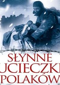 Słynne ucieczki Polaków - Andrzej Fedorowicz