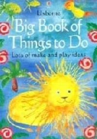 Big book of things to do - praca zbiorowa