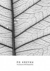 Po krzyku - Krystyna Miłobędzka