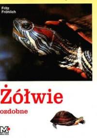 Żółwie ozdobne - Fritz Frohlich