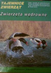 Zwierzęta wędrowne - Michel Cuisin