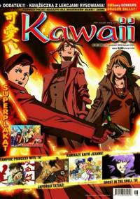 Kawaii nr 01/2003 (41) (grudzień 2002/styczeń 2003) - Redakcja magazynu Kawaii