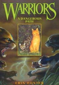 Warriors #5: A Dangerous Path - Erin Hunter